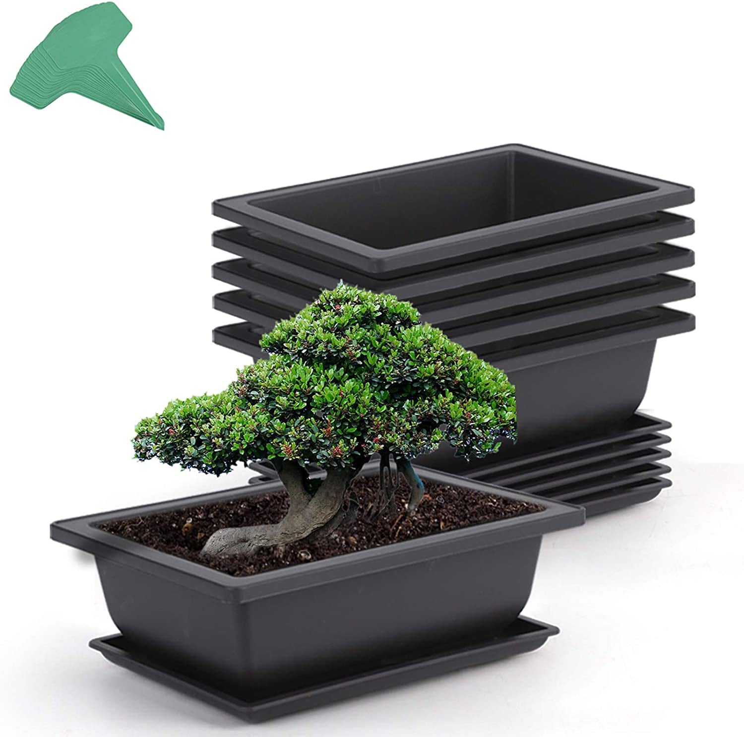GROWNEER, GROWNEER 6 Packs 6.5 Inches Bonsai Training Pots with 15 Pcs Plant Labels, Plastic Bonsai Plants Growing Pot for Garden, Yard, Office, Living Room, Balcony and More