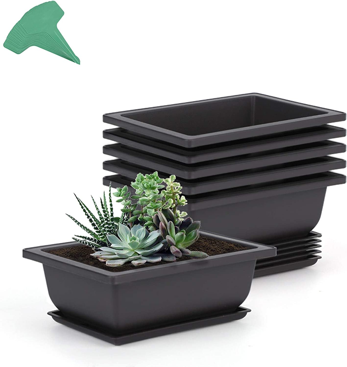GROWNEER, GROWNEER 6 Packs 6.5 Inches Bonsai Training Pots with 15 Pcs Plant Labels, Plastic Bonsai Plants Growing Pot for Garden, Yard, Office, Living Room, Balcony and More