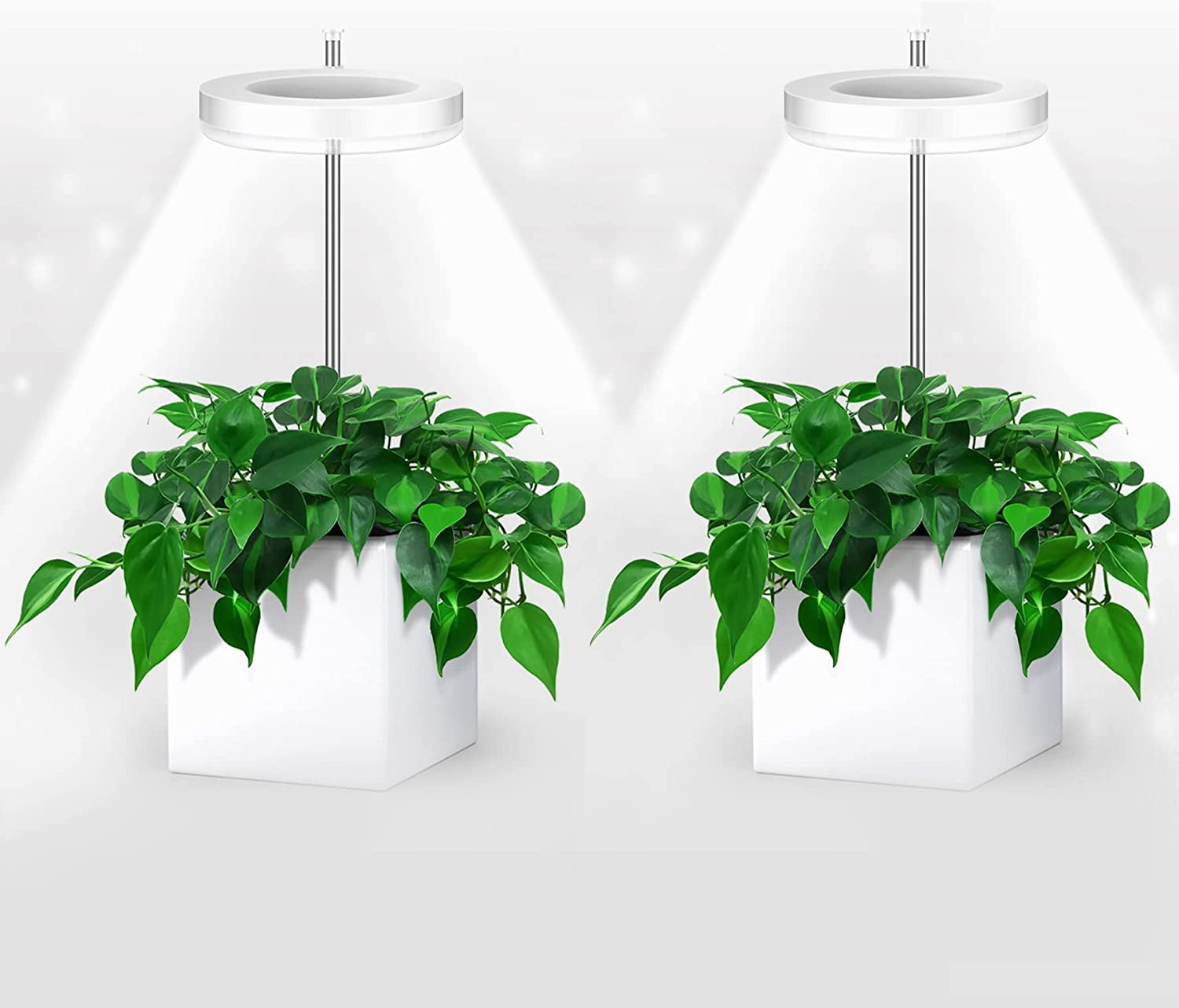 eWonLife, Grow Lights for Indoor Plants, Ewonlife Small Plant Lights Full Spectrum, 2 Pack LED Growing Lamp with Smart Timer, Height Adjustable, 3 Spectrum Modes with Warm White, Blue, Red, for House Growth