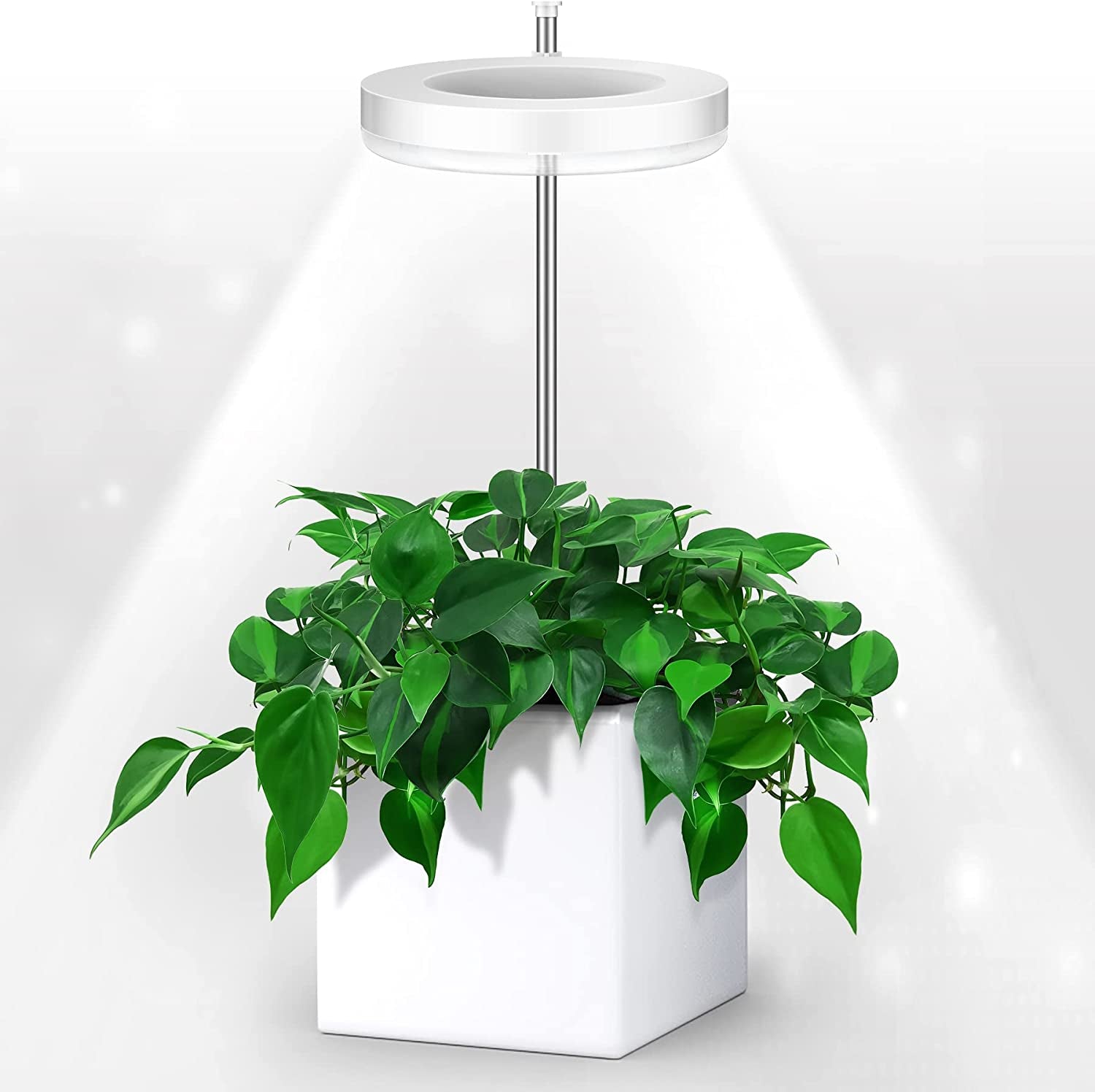 eWonLife, Grow Lights for Indoor Plants, Ewonlife Small Plant Lights Full Spectrum, LED Growing Lamp with Smart Timer, Height Adjustable, 3 Spectrum Modes with Warm White, Blue, Red, for House Growth