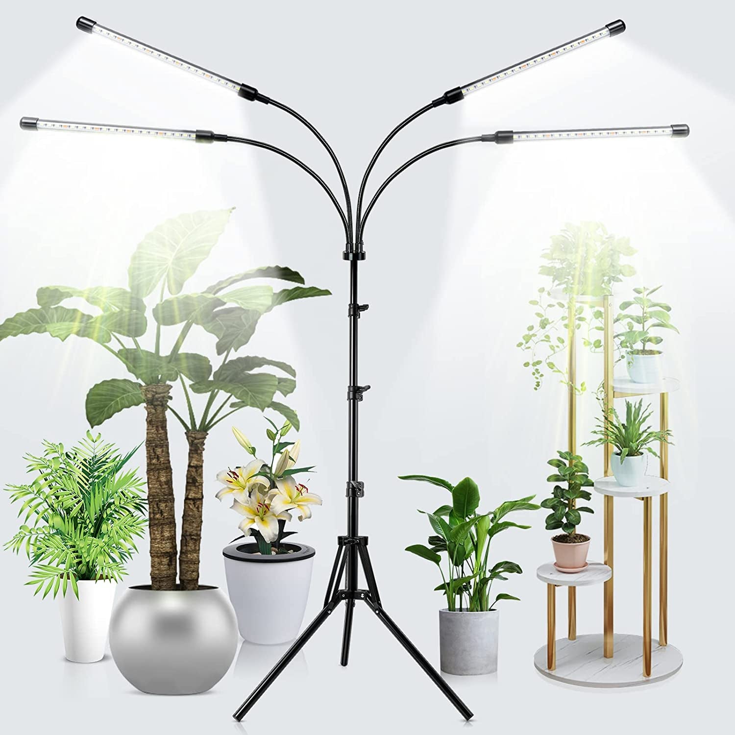 Feel Show, Grow Lights for Indoor Plants, LED Full Spectrum Plant Light with Stand (Adjustable Tripod 15-60Inch for Floor Plants, Red/Blue/White, 4/8/12H Timer with Remote Control) (Red)