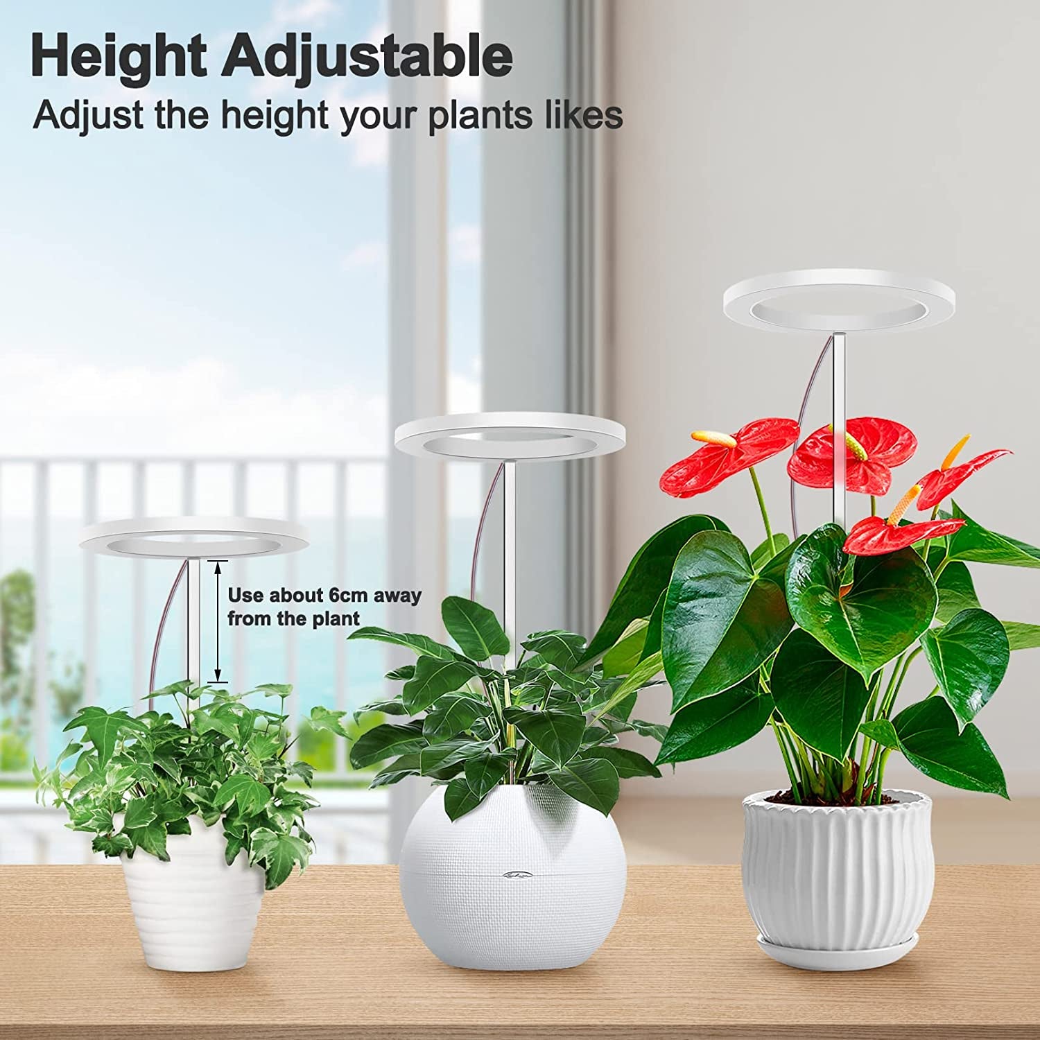 SEDISON, Grow Lights for Indoor Plants,Full Spectrum LED Plant Halo Lights Height Adjustable Growing Lamps with Auto On/Off Timer 8/12/16 H , 4 Dimmable Brightness,Ideal for Small House Plants Indoors Live