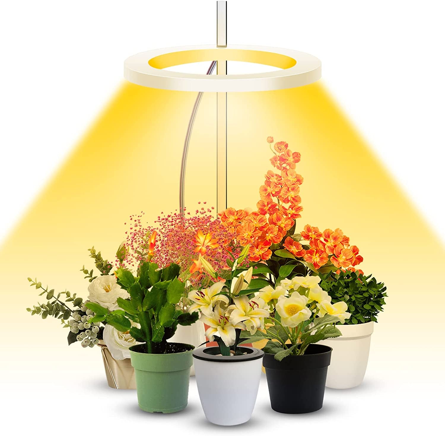 SEDISON, Grow Lights for Indoor Plants,Full Spectrum LED Plant Halo Lights Height Adjustable Growing Lamps with Auto On/Off Timer 8/12/16 H , 4 Dimmable Brightness,Ideal for Small House Plants Indoors Live